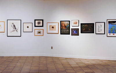 2017 GNSI Juried Exhibition, Asheville, N.C.