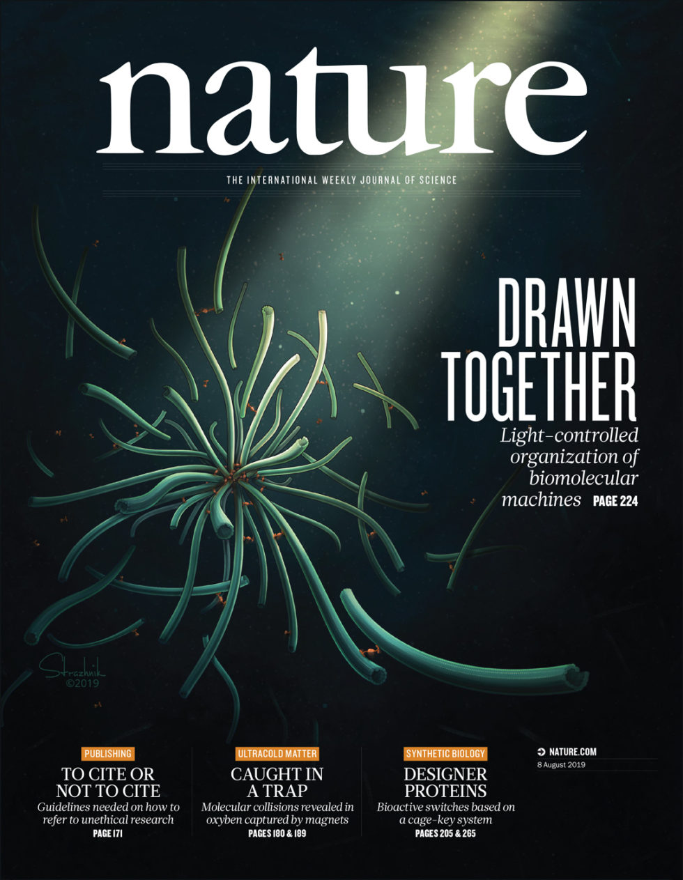 Cover Art: Nature Journal - Inna-Marie Strazhnik Illustration