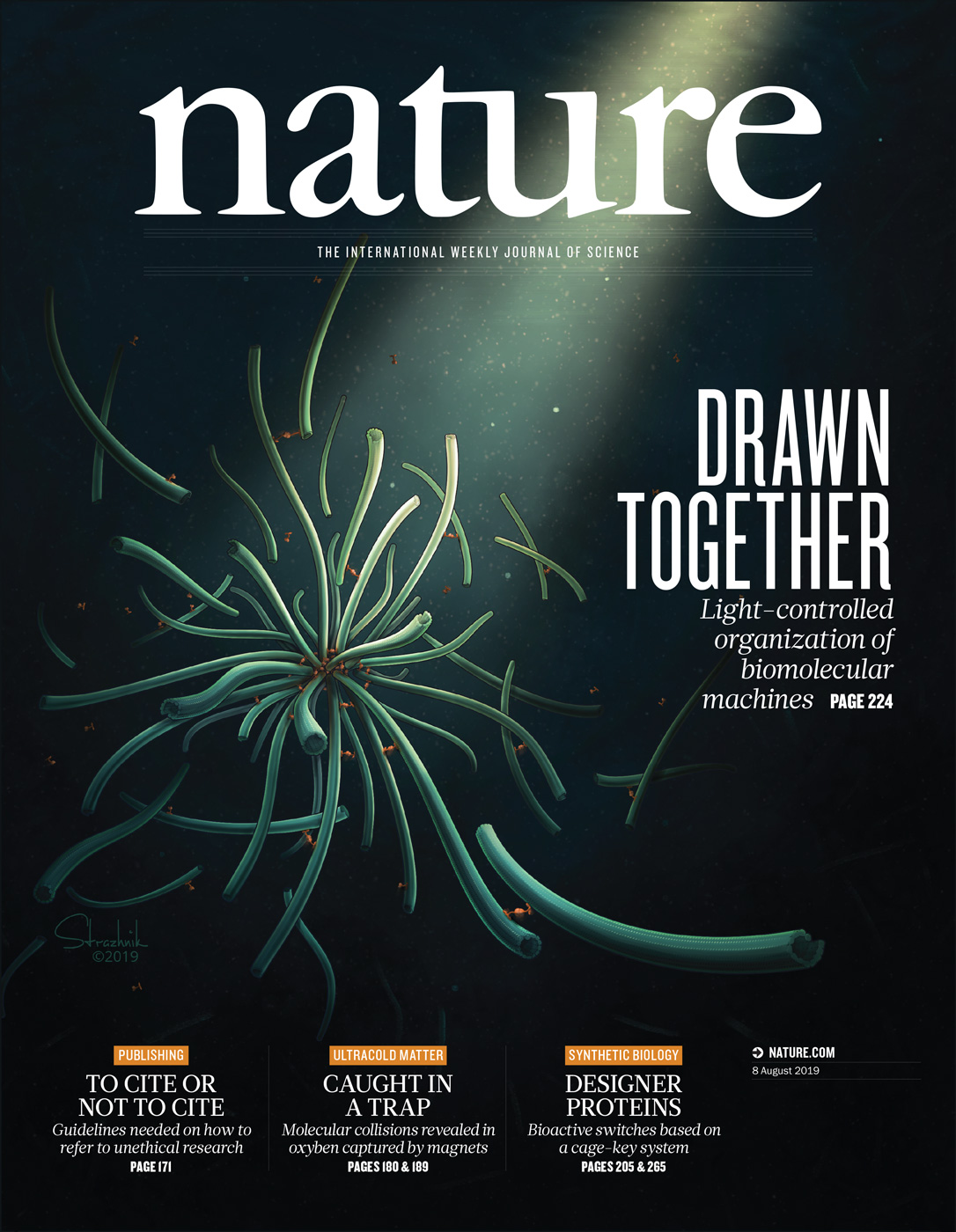 Se venligst Termisk Nysgerrighed Cover Art: Nature Journal - Inna-Marie Strazhnik Illustration